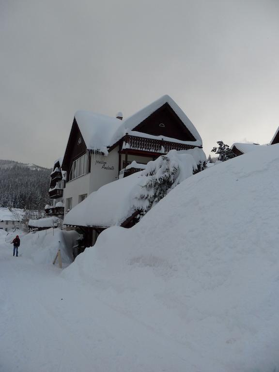 Pension Andante Špindlerŭv Mlýn Exterior foto